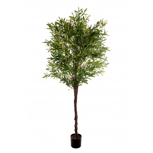 A23938 OLIVE TREE H 230 CM