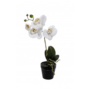 A20681 PHALAENOPSIS PLANT REAL TOUCH H 38 CM
