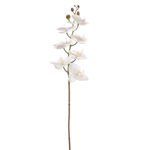 A29158 PHALAENOPSIS NATURAL TOUCH H.CM 47 WHT